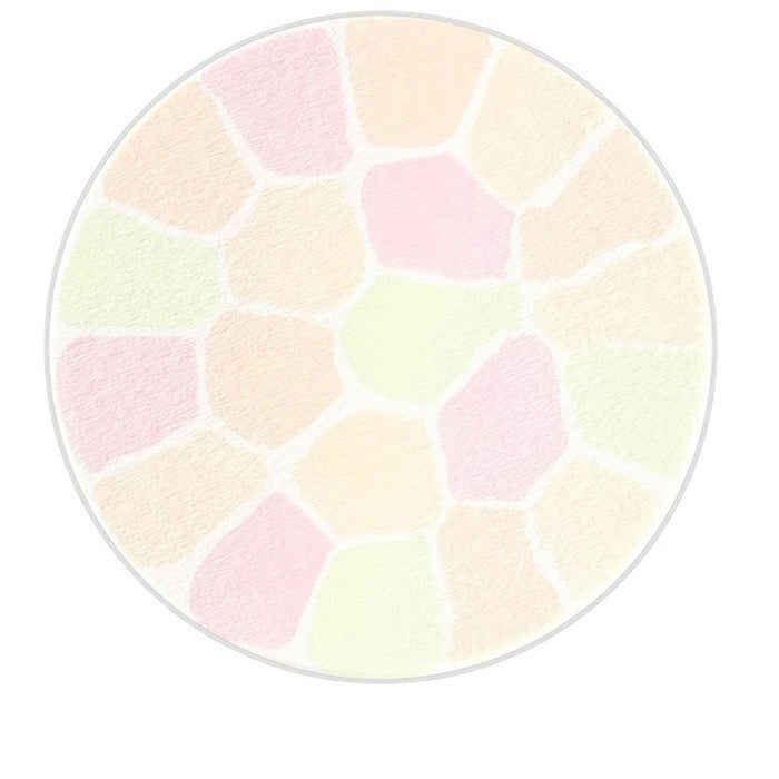 ALBION ELEGANCE La Poudre Haute Nuance Face Powder (27g)