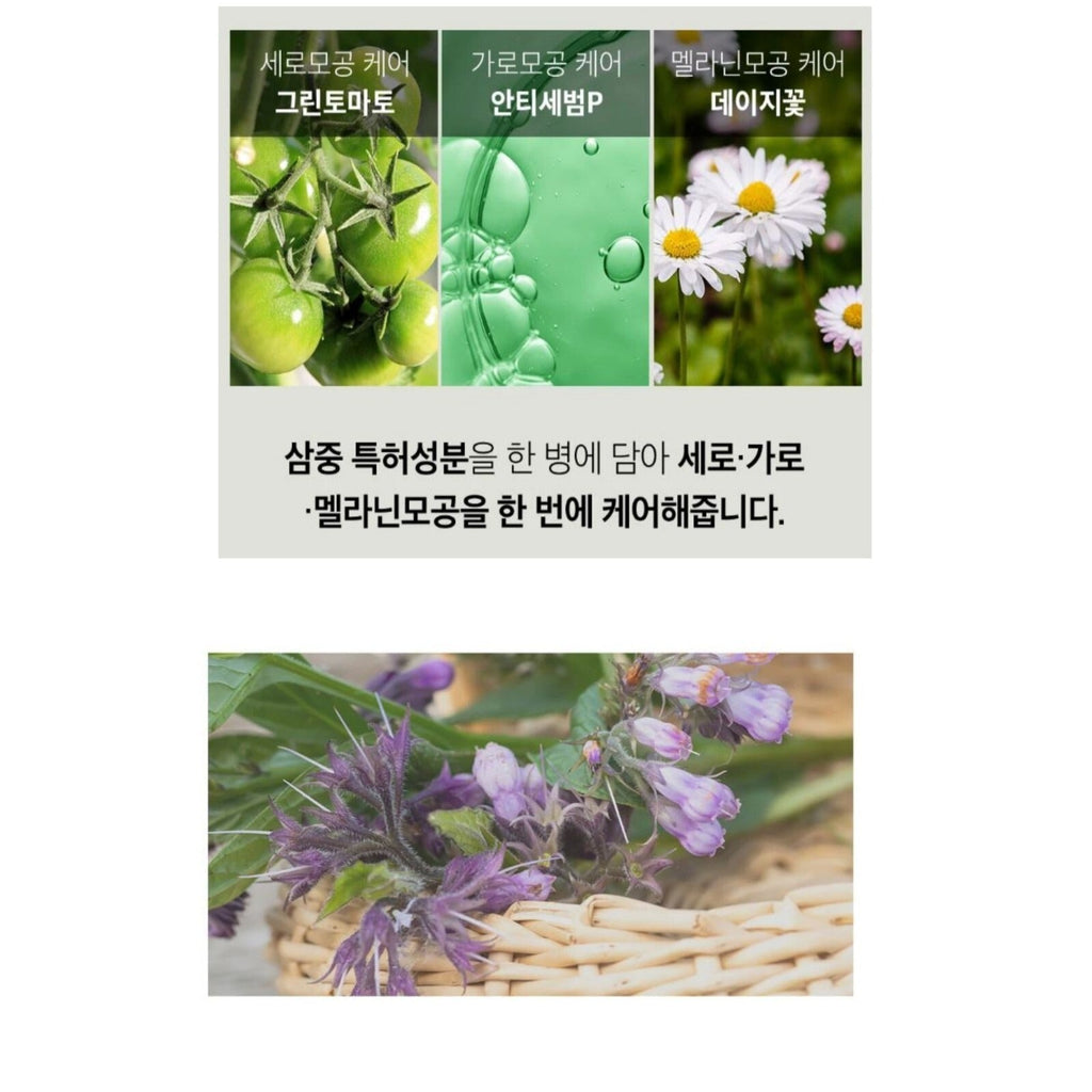 SUNGBOON EDITOR Green Tomato NMN Pore Lifting Ampoule 40ml Double Pack - RV Cosmetics