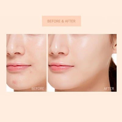THE SAEM - Cover Perfection Tip Concealer - RV Cosmetics
