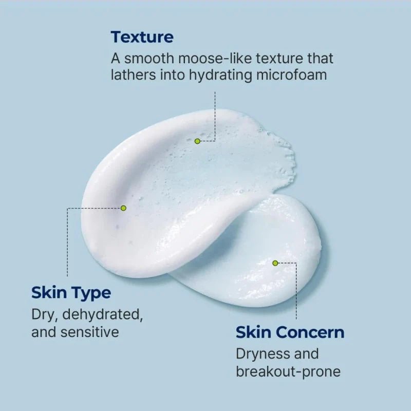 TORRIDEN DIVE-IN Low Molecular Hyaluronic Acid Cleansing Foam 150ml - RV Cosmetics