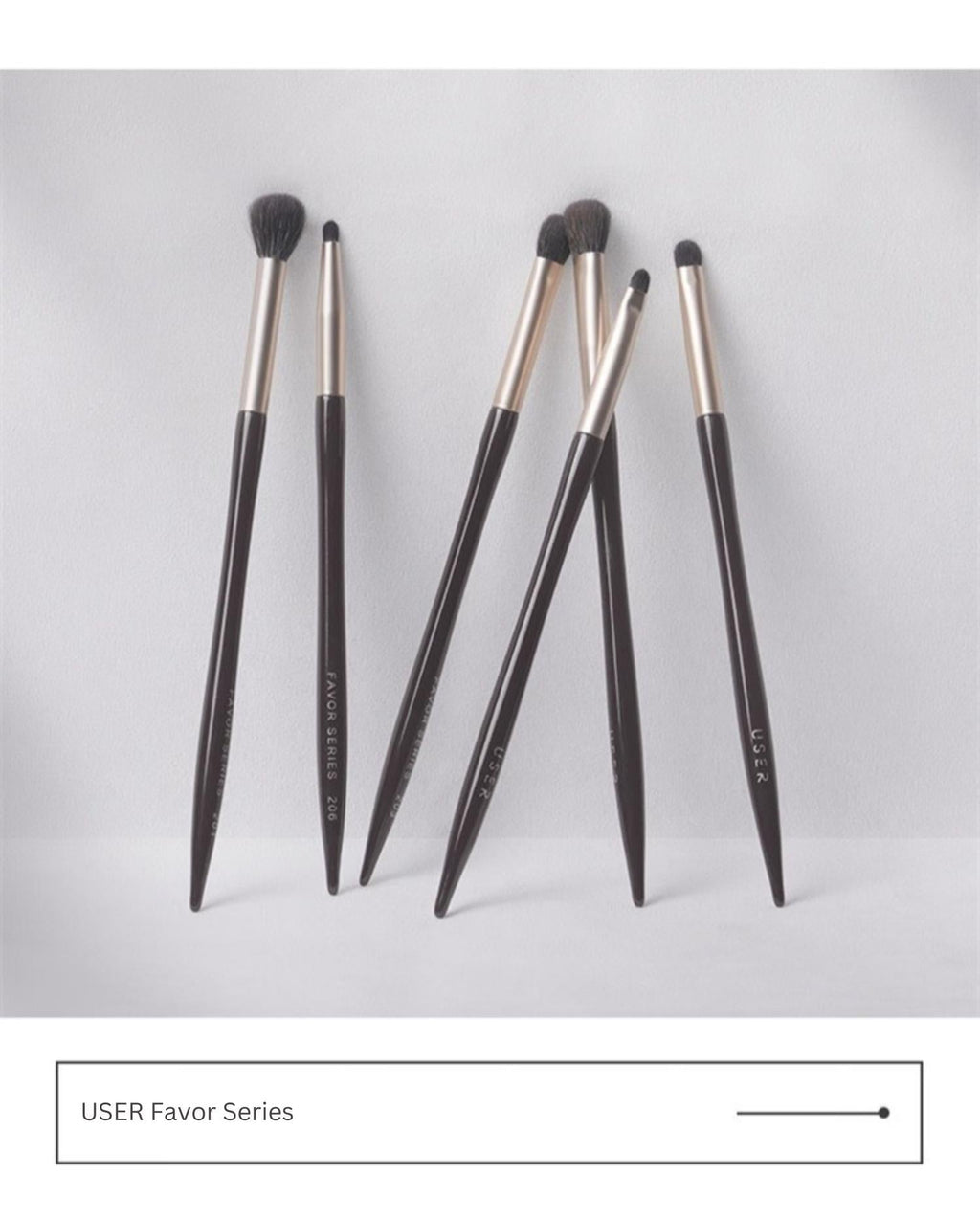 USER Favor Series Eye Makeup Brush Set - RV Cosmetics